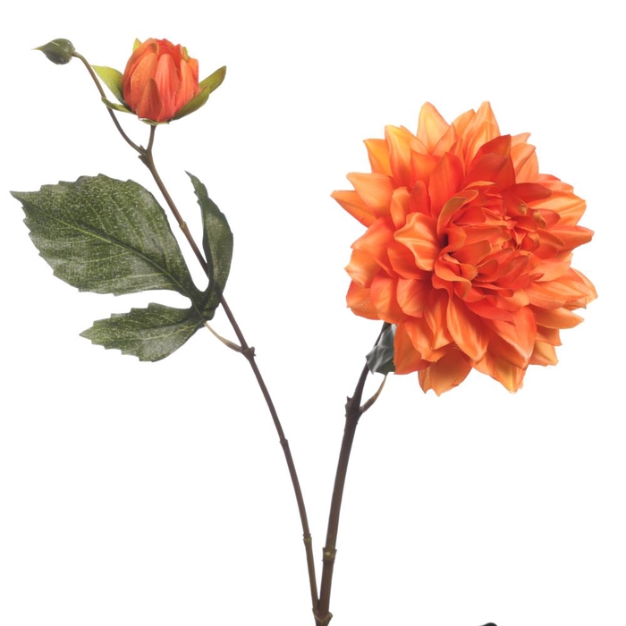 <h4>AF Dahlia x2 L63cm Orange</h4>