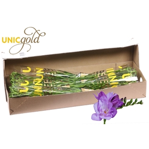 UG Barendse - Blue Bayou 5x20 in box