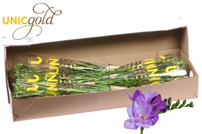 <h4>UG Barendse - Blue Bayou 5x20 in box</h4>