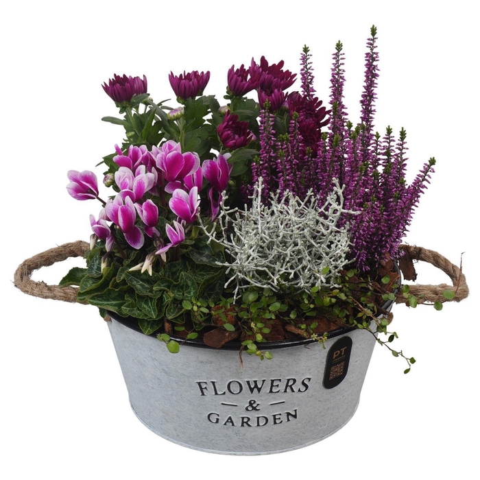 Arr.   Tuinplanten H%