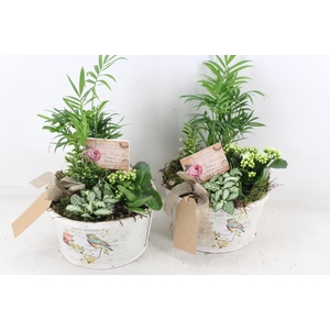 arr2 TD - Schaal rond bird - roze/wit