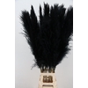 DF Pampas 130cm Black