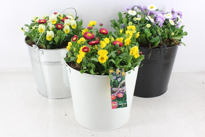 <h4>arr4 Outdoor MB - Zink emmer mix XL</h4>