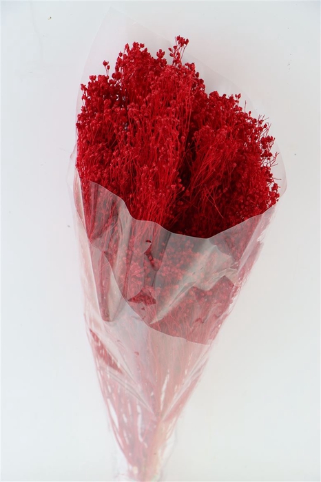 Dried Brooms Red Bunch