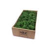 Moss Reindeer 500g