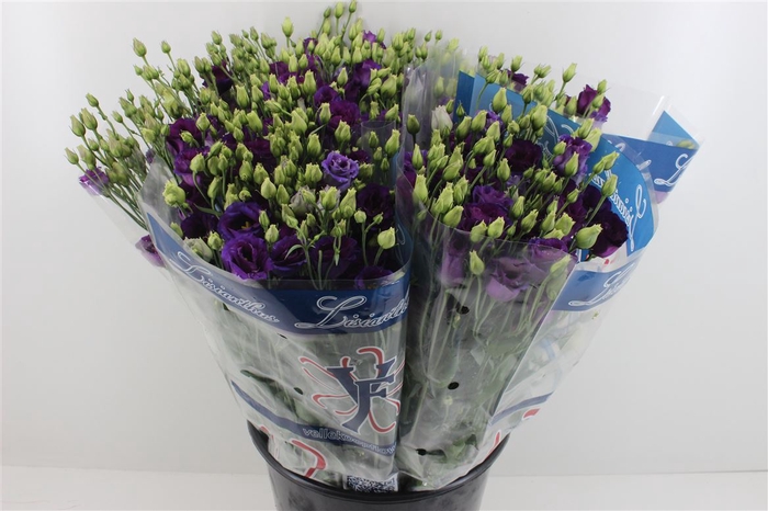 Boeket Mono Eustoma (10) Blauw