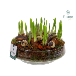 Green Bottle Iris Large met Pasen arrangement