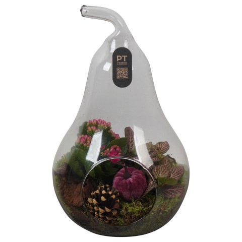 <h4>PTHG3415 Arrangementen kamerplanten</h4>
