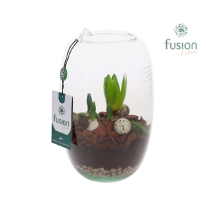 Green Bottle Isabella Small Pasen met Bollen mix