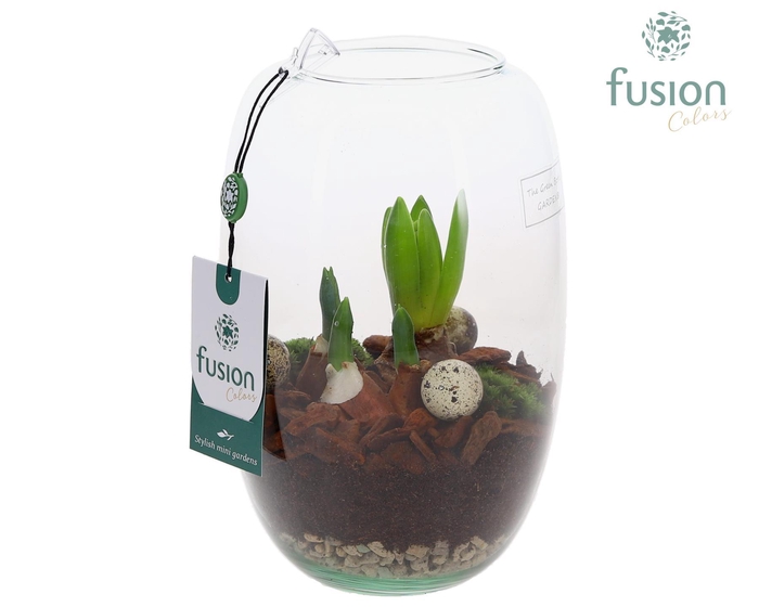 <h4>Green Bottle Isabella Small Pasen met Bollen mix</h4>