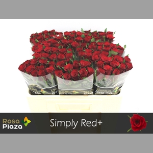 R GR SIMPLY RED+