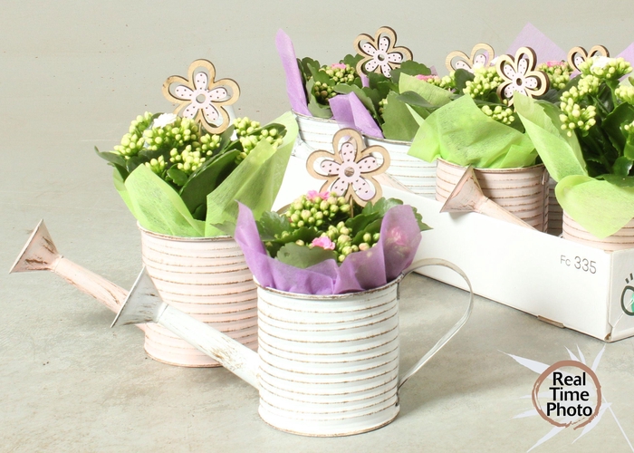 <h4>ARR KAMERPL</h4>