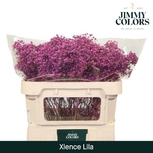 Gyps Xlence L70 Lila