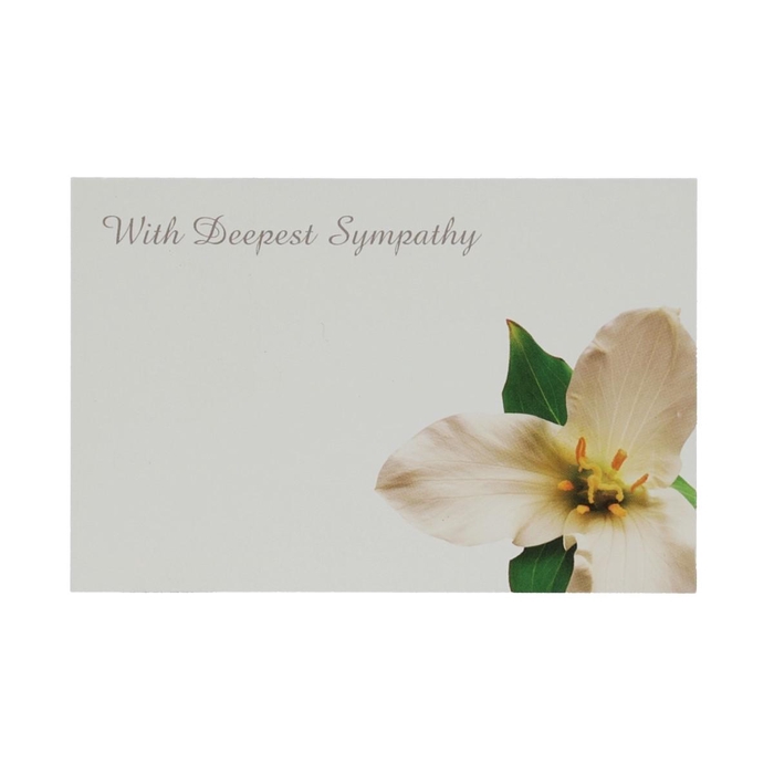 <h4>Kaart 9*6cm x50 W.Deep.Symp.</h4>