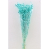 Pres Eryngium Mini Aqua Blue Bunch