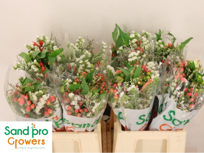 <h4>GEM ZOMERBOEKET</h4>