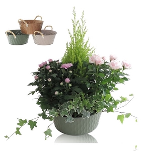 Collectie Amun Arrangement in Schaal 25 cm