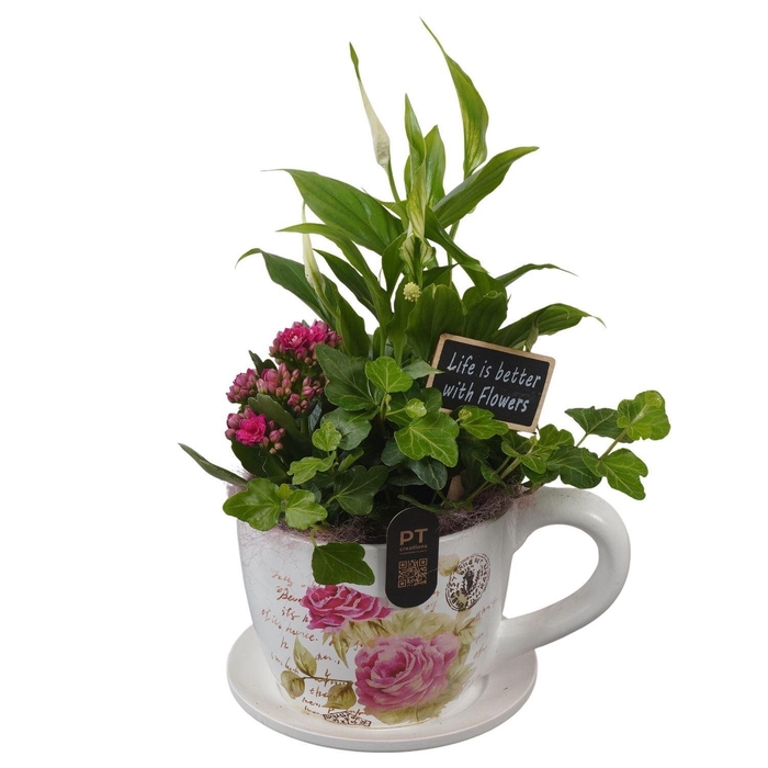 <h4>5202 MID KOP/SHOTEL SPATH</h4>