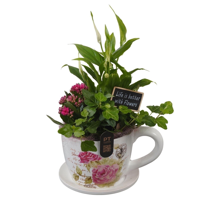 <h4>Arr.    Planten  L%</h4>