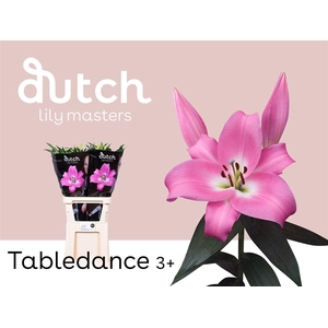 Li Ot Tabledance 3+