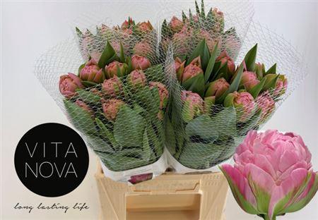 <h4>Tu Fra Du Strawber Cream</h4>