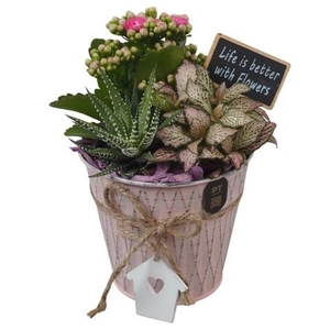 PTIB5300 Arrangement Indoor in metalen pot