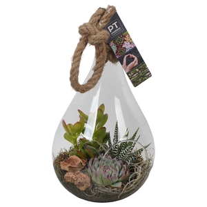 PTGIG2124 Arrangement Greens in glass in glazen druppelvorm