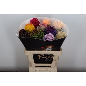 Snijgroen Brass Klb H