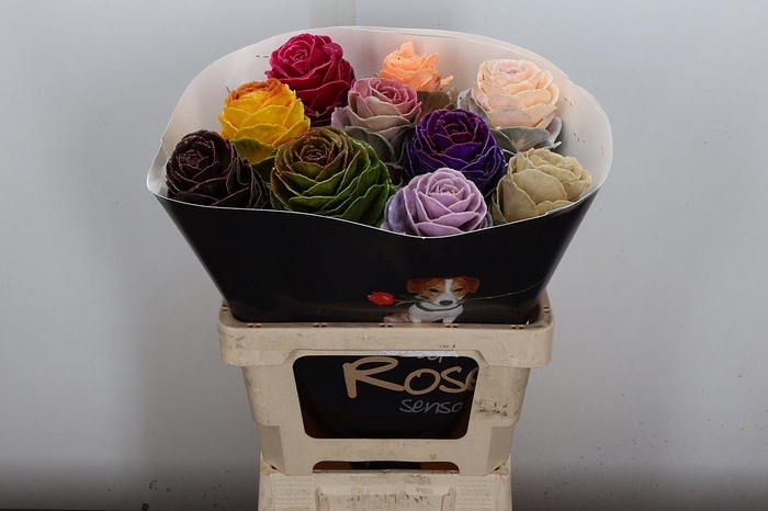 <h4>Snijgroen Brass Klb H</h4>