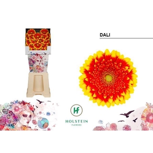 Ge Mini Dali