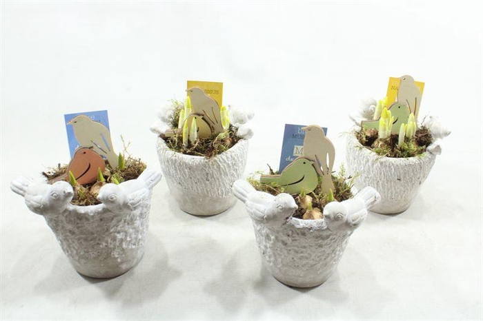 <h4>G197 VOGELPOTJE BM</h4>