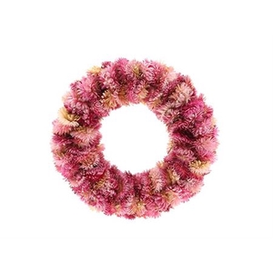 Wr Helichrysum Rose D30
