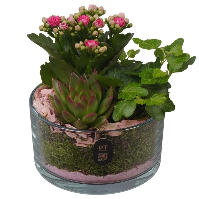 <h4>2603 ROZE GLAASJE ROND</h4>
