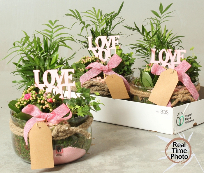 <h4>ARR KAMERPL</h4>