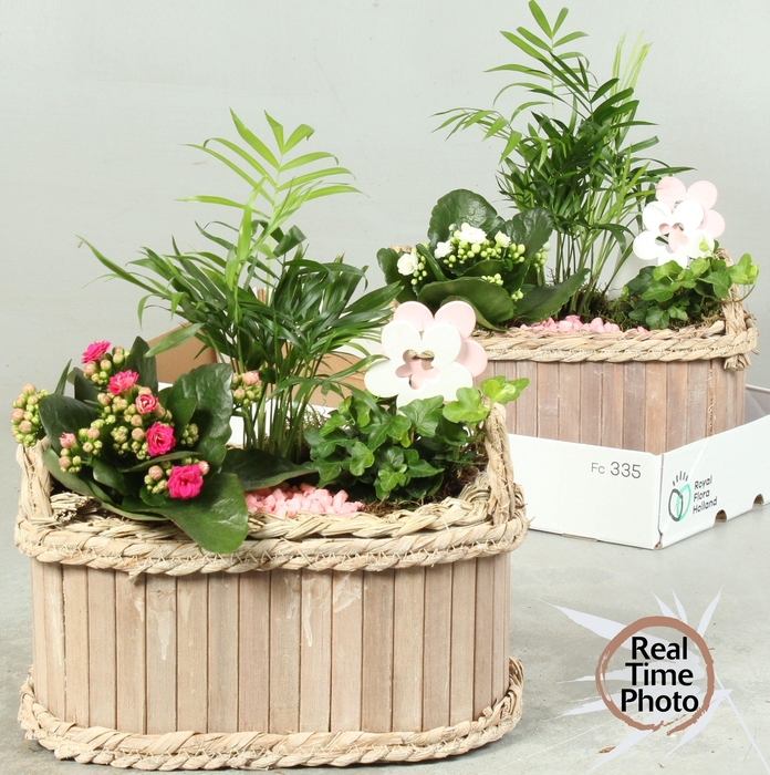 <h4>ARR KAMERPL</h4>