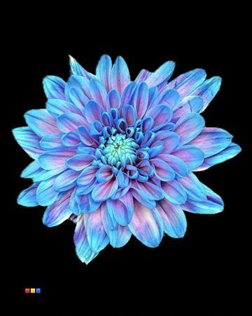 <h4>Chr T 2 Kl Baltica Bubblegum</h4>