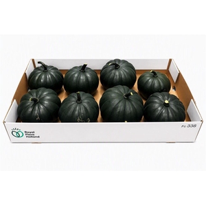 Sier Cuc P Black Cat X8