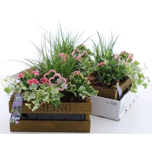 ARR TUINPLANTEN