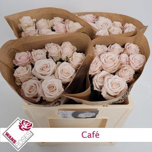 R GR CAFE!