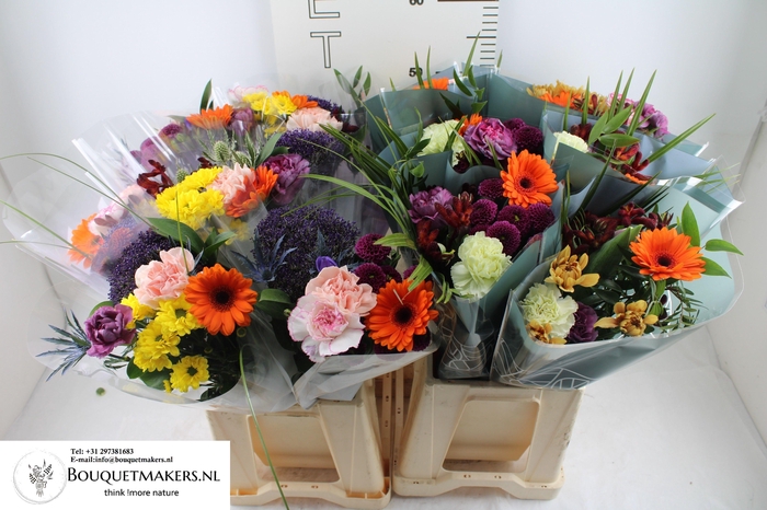 <h4>GEM BOEKET OV</h4>