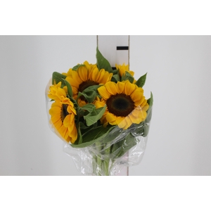 GIRASSOL 080 CM