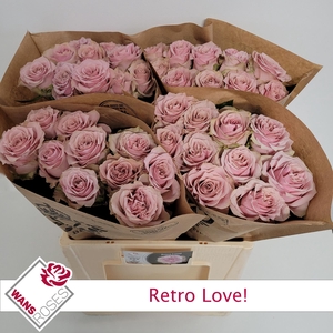 R GR RETRO LOVE!
