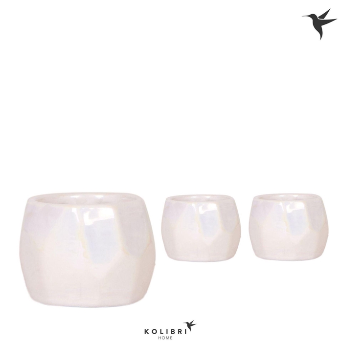 <h4>Keramische pot</h4>