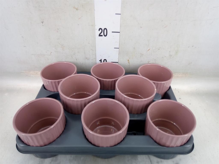 <h4>Pot   ...Keramische H%</h4>