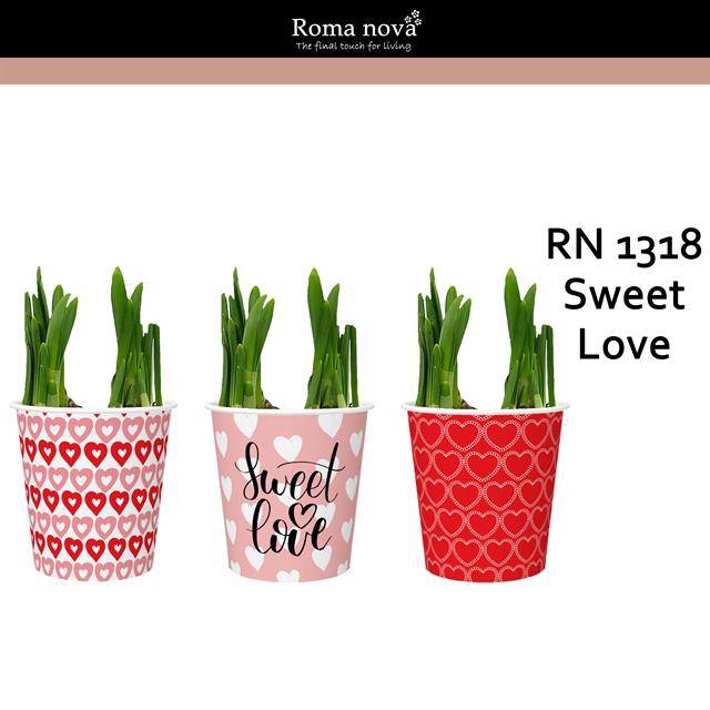 <h4>arr4 Narcis RN - Cup sweet love x12</h4>