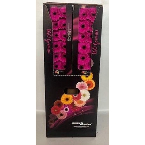 GE MI ANNA Aquabox - diamond (8 x 15)