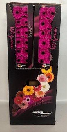 <h4>GE MI ANNA Aquabox *160</h4>