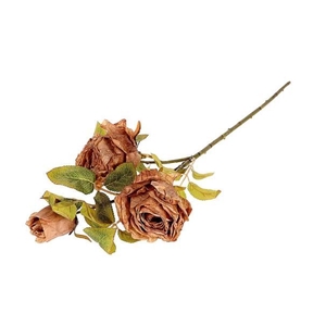 Branch Rosa Horta L66