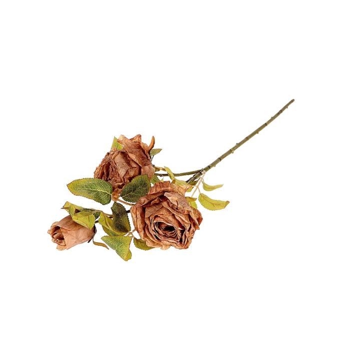 <h4>Branch Rosa Horta L66</h4>