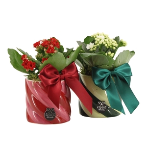 61770: X-mas arrangement